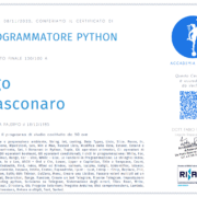 Programmatore python lead Developer python developer RPA programmazione python lead developer RPA